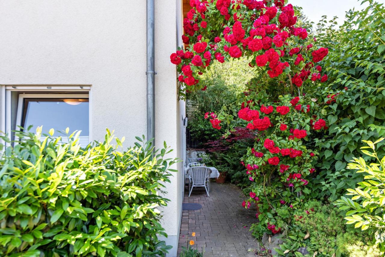 Apartamento Fewo Im Lenzengarten Sulzburg Exterior foto