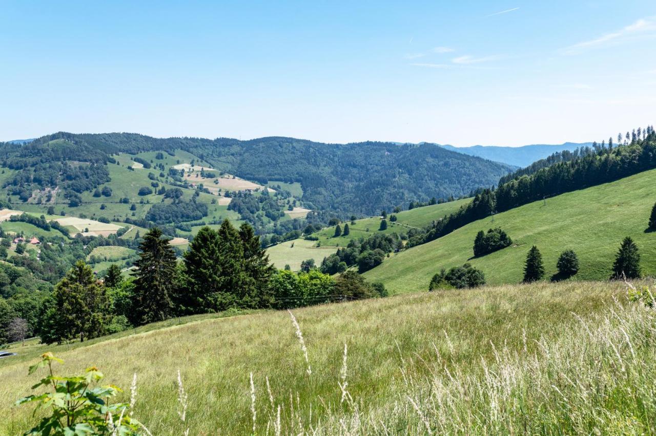 Apartamento Fewo Im Lenzengarten Sulzburg Exterior foto