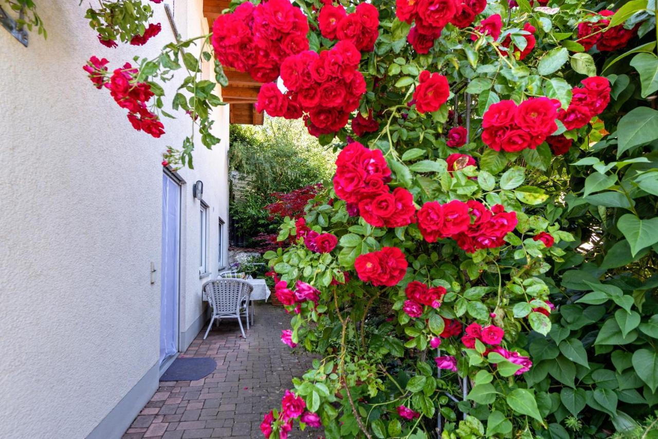 Apartamento Fewo Im Lenzengarten Sulzburg Exterior foto
