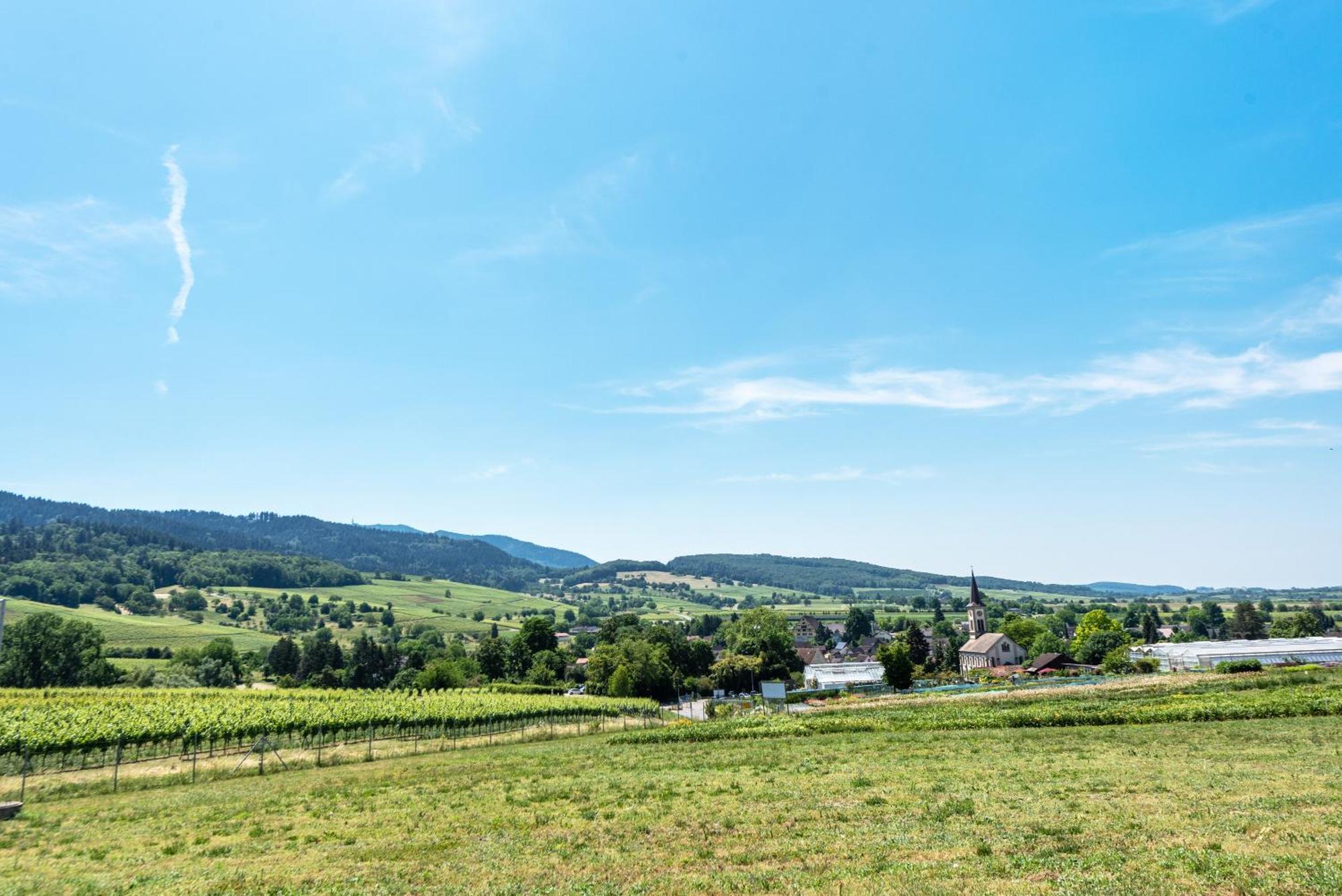 Apartamento Fewo Im Lenzengarten Sulzburg Exterior foto